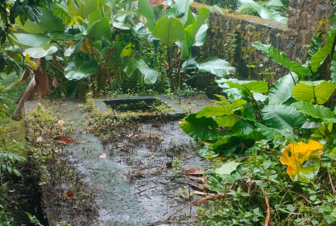 WhatsApp Image 2026 04 27 at 16.39.15 (4)