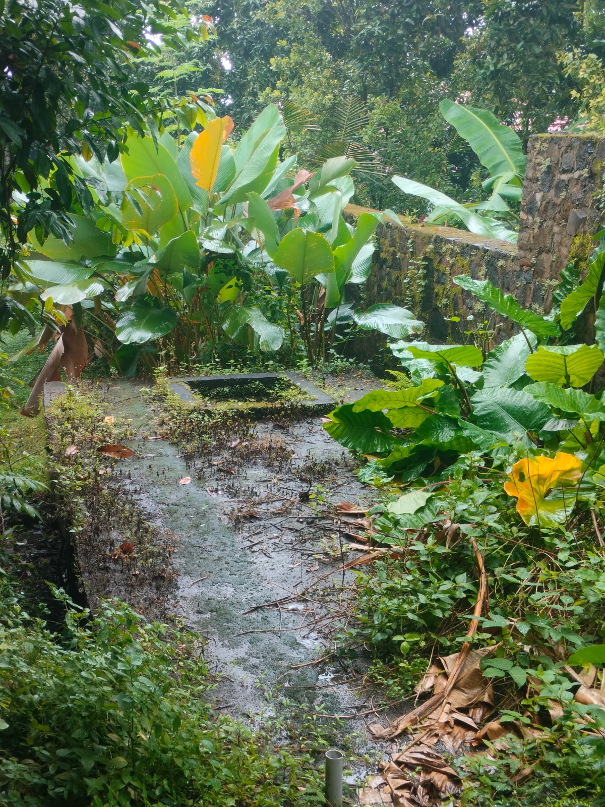 WhatsApp Image 2026 04 27 at 16.39.15 (4)