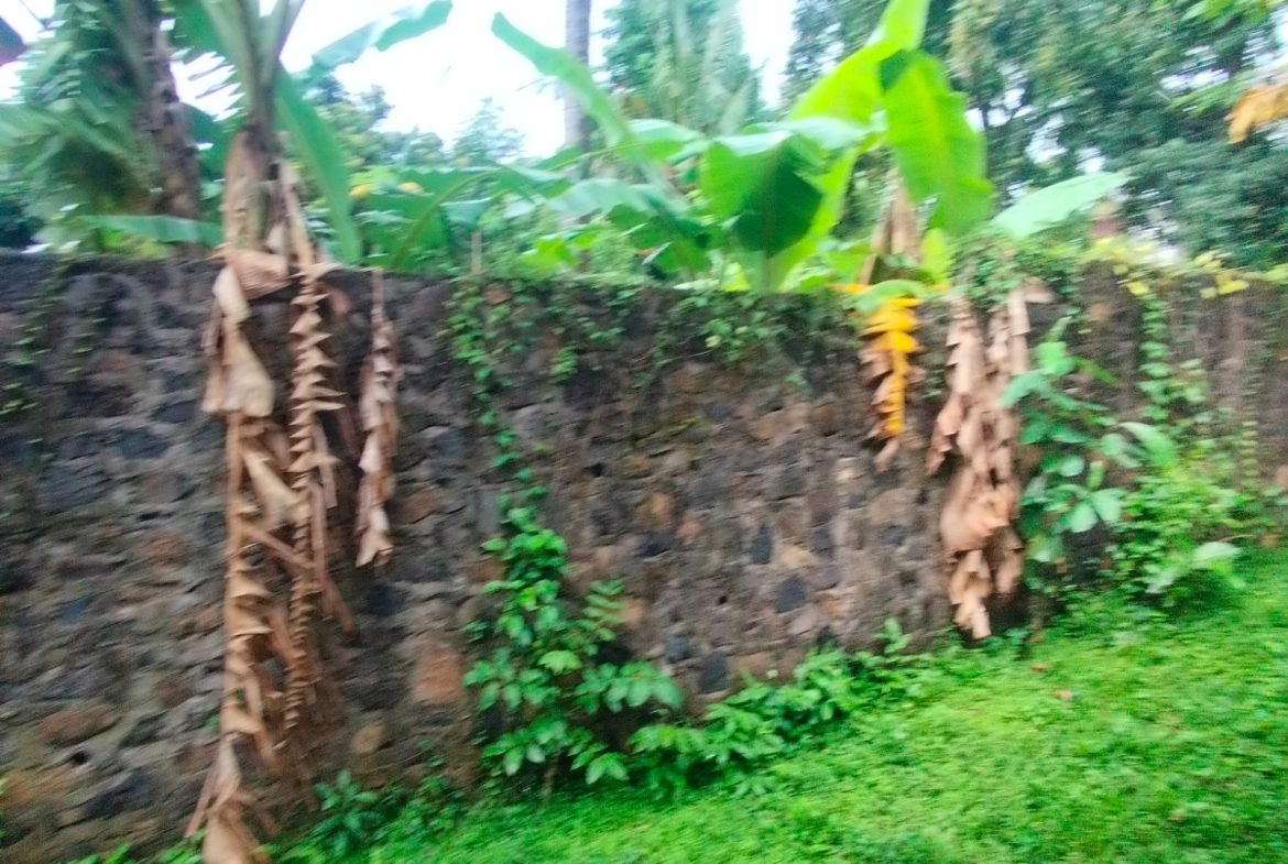 WhatsApp Image 2026 04 27 at 16.39.15 (5)