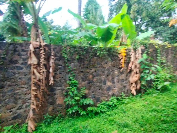 WhatsApp Image 2026 04 27 at 16.39.15 (5)