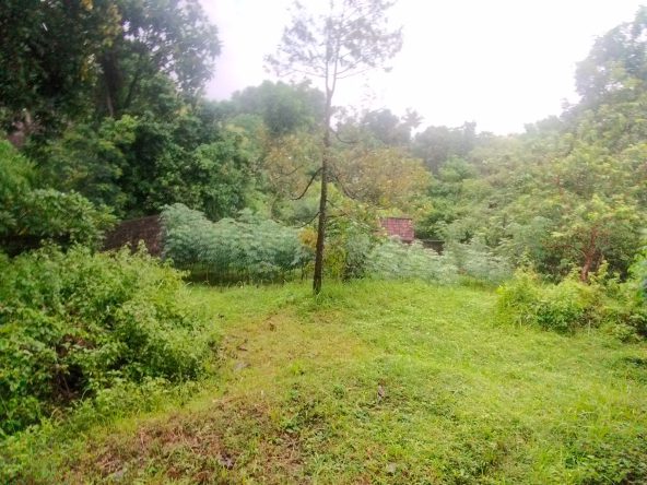 WhatsApp Image 2026 04 27 at 16.39.15