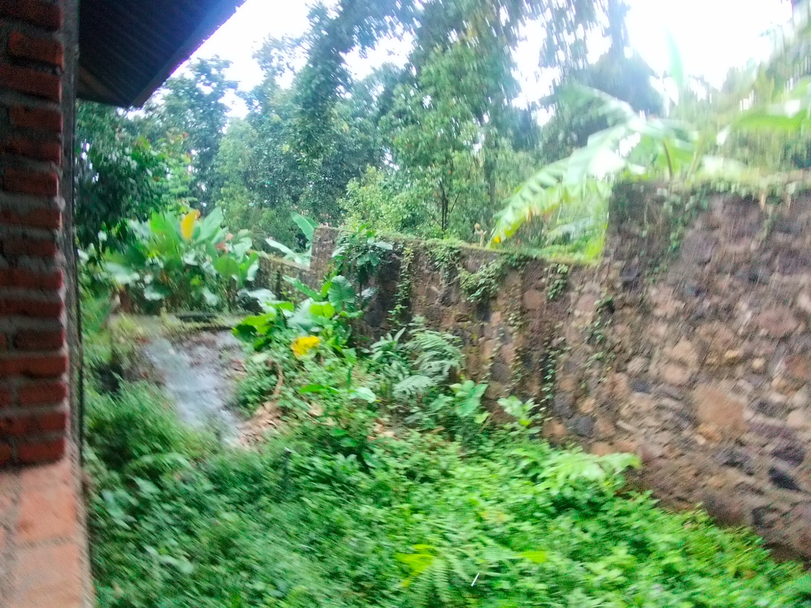 WhatsApp Image 2026 04 27 at 16.39.15 (6)