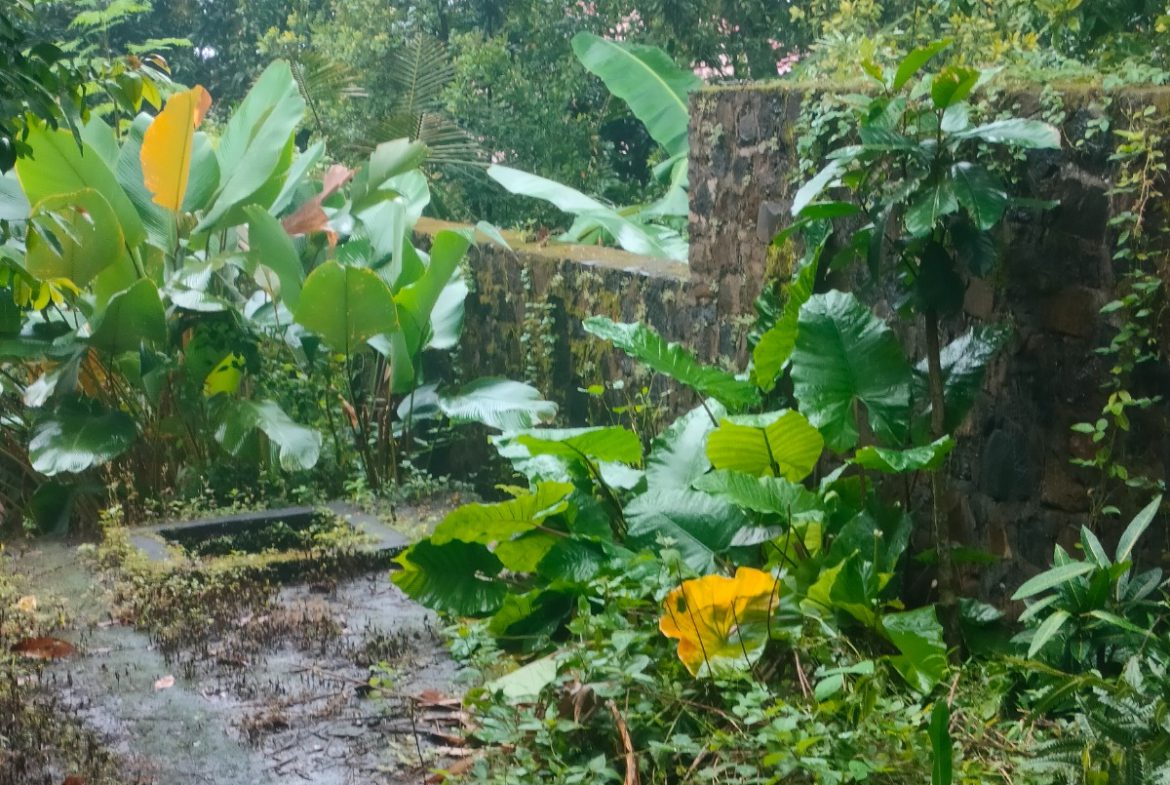 WhatsApp Image 2026 04 27 at 16.39.15 (7)