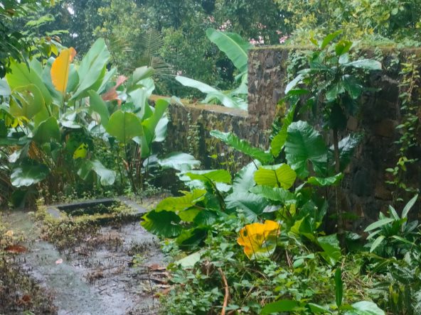 WhatsApp Image 2026 04 27 at 16.39.15 (7)