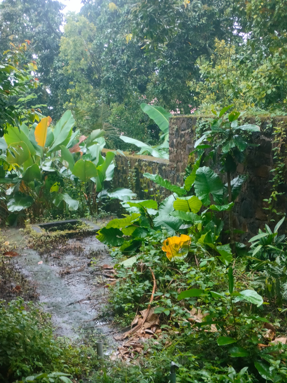 WhatsApp Image 2026 04 27 at 16.39.15 (7)