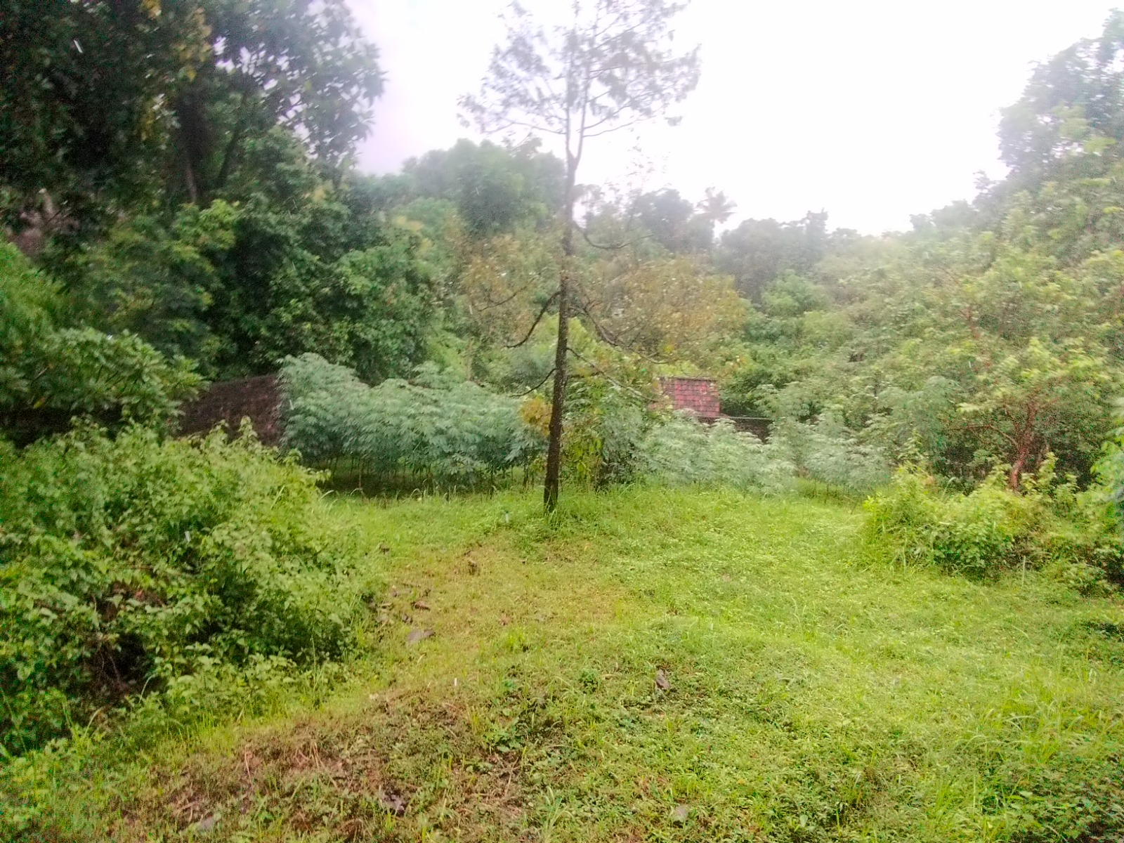 WhatsApp Image 2026 04 27 at 16.39.15