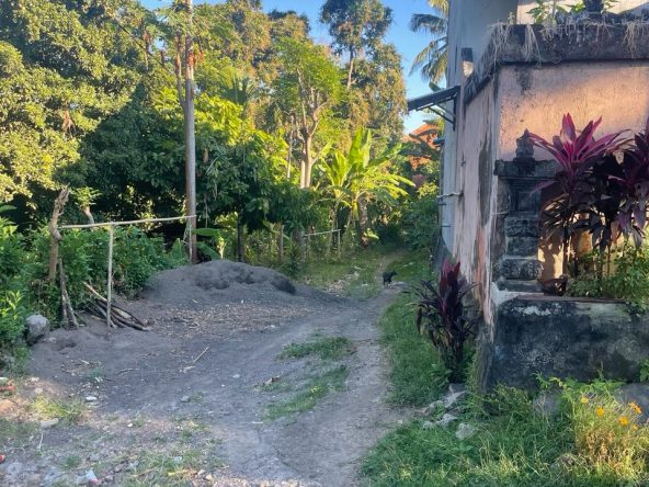 WhatsApp Image 2026 04 27 at 16.39.16