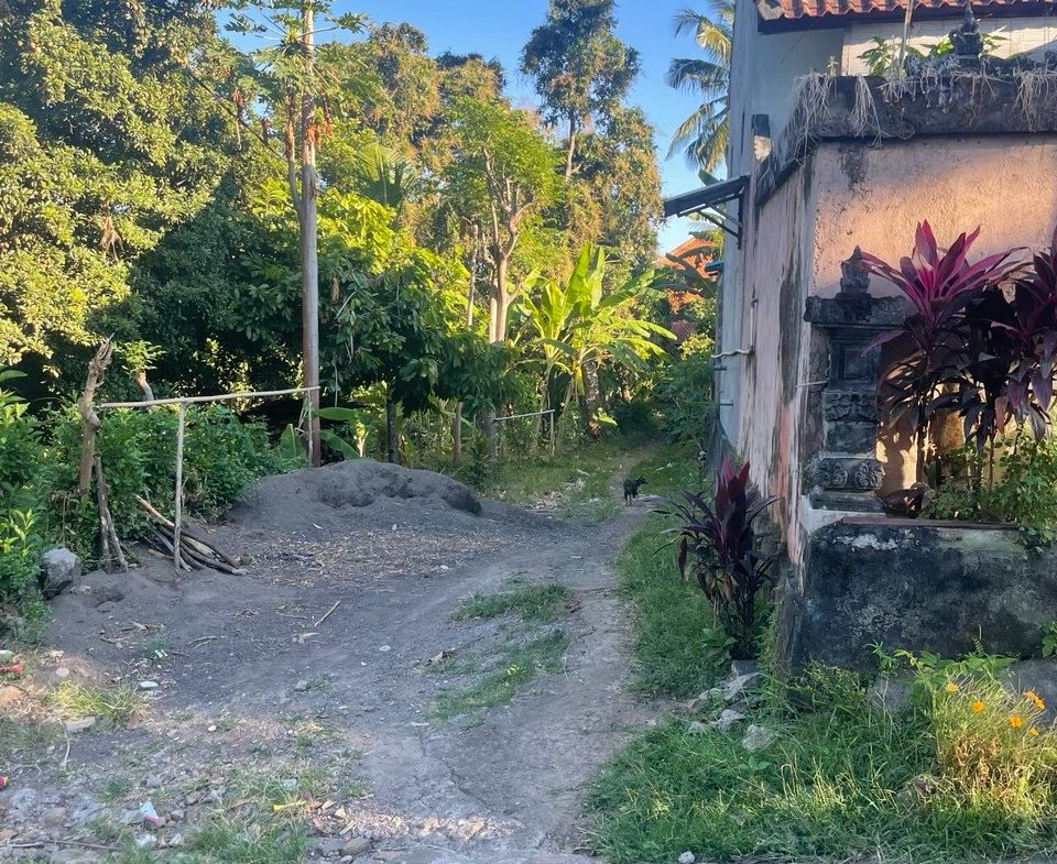 WhatsApp Image 2026 04 27 at 16.39.16