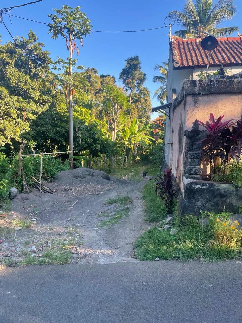 WhatsApp Image 2026 04 27 at 16.39.16