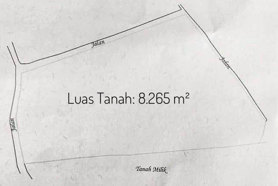 WhatsApp Image 2026 05 01 at 10.40.06