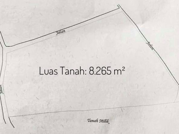 WhatsApp Image 2026 05 01 at 10.40.06