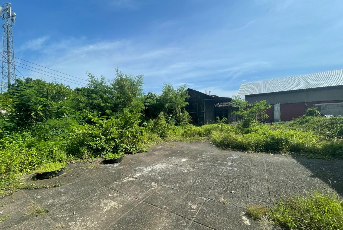 WhatsApp Image 2026 05 16 at 10.40.01 (2)