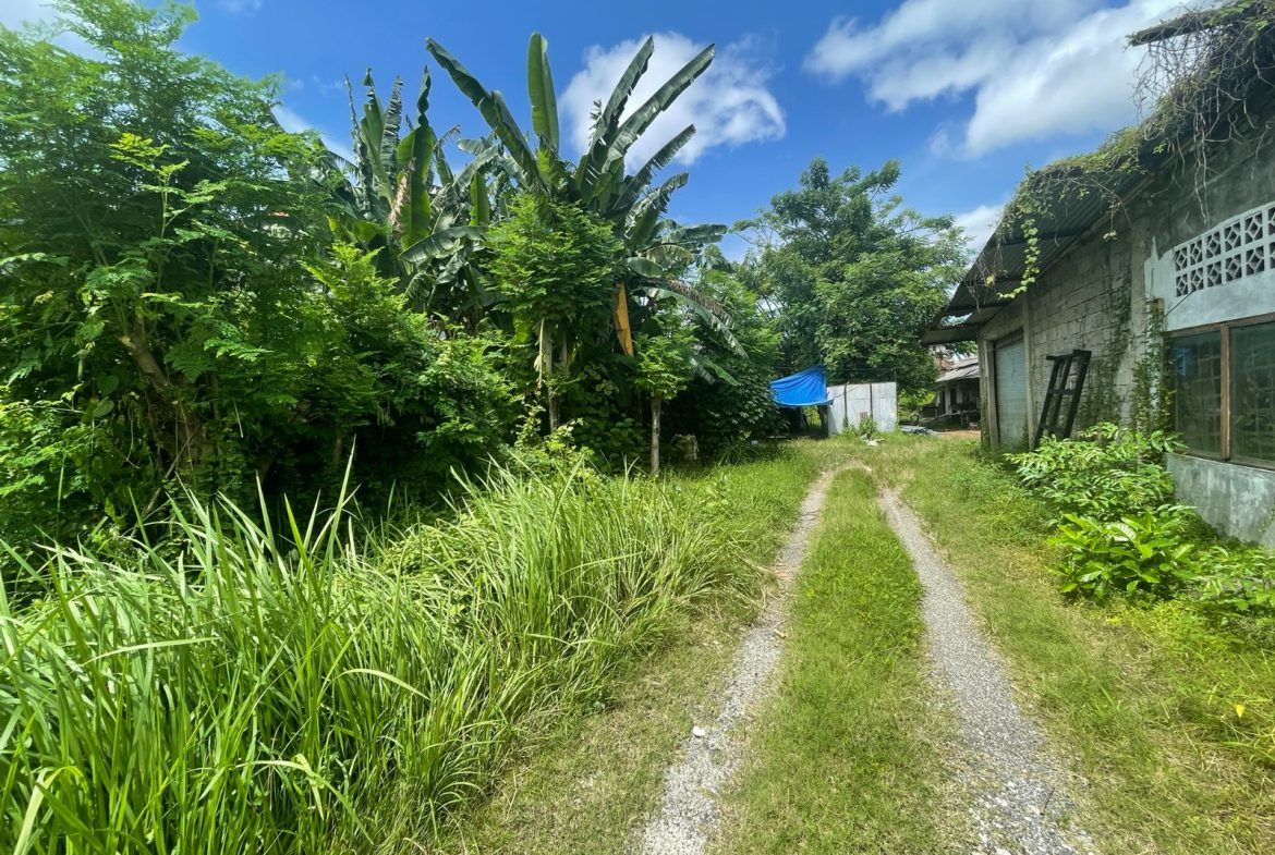 WhatsApp Image 2026 06 19 at 09.53.35 (5)