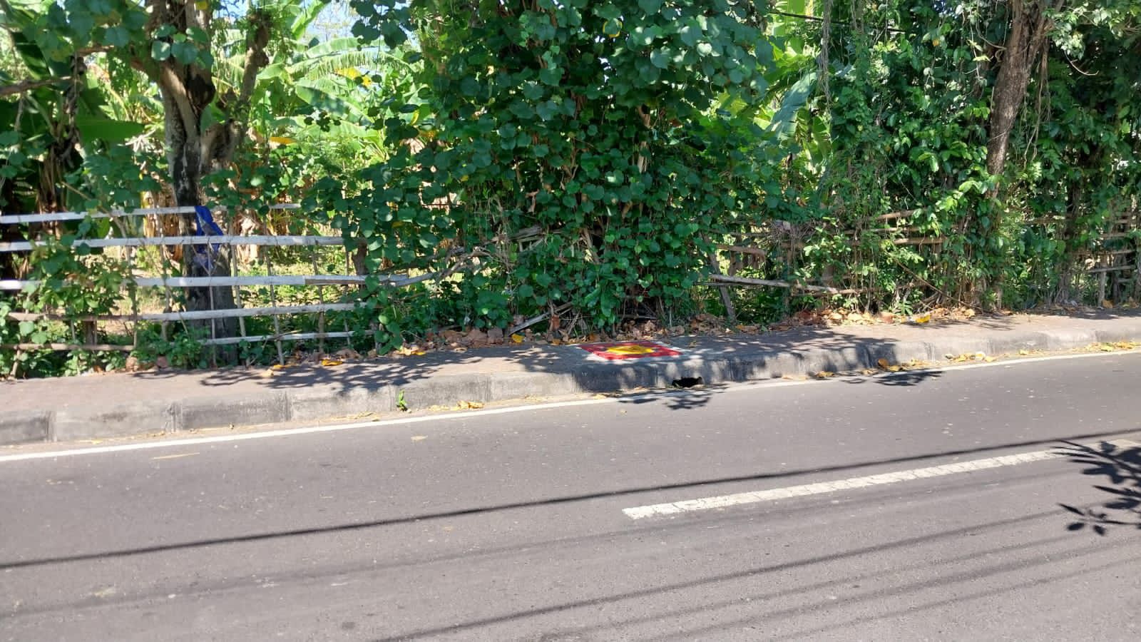 WhatsApp Image 2026 06 22 at 09.37.55 (1)