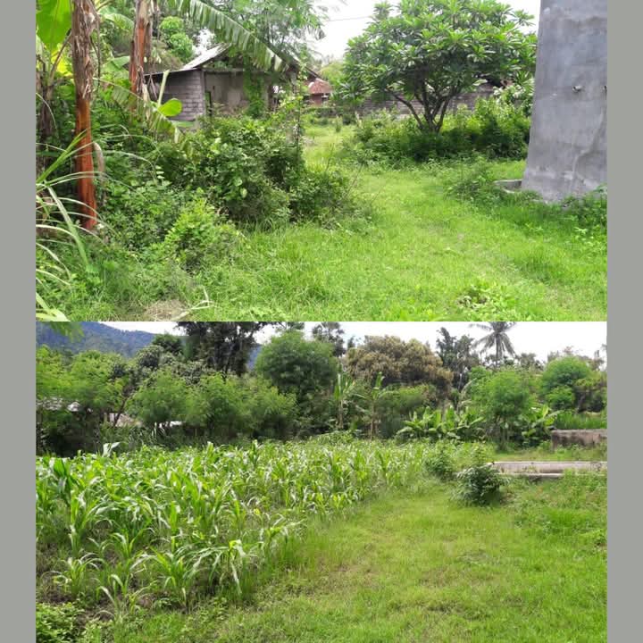 WhatsApp Image 2026 07 14 at 21.32.35 (1)