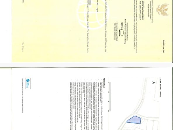 WhatsApp Image 2026 08 16 at 11.24.09