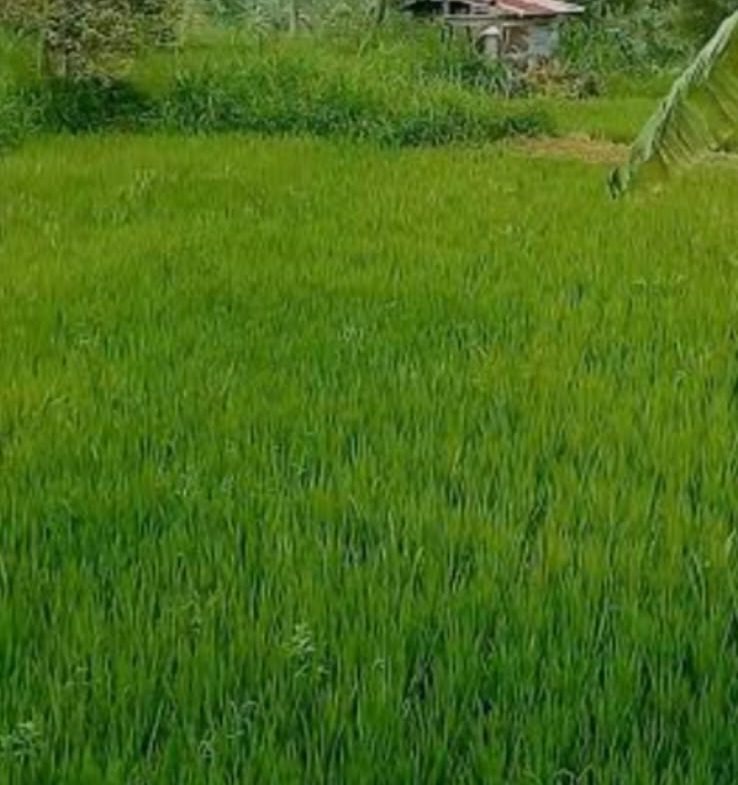WhatsApp Image 2026 09 23 at 12.11.29