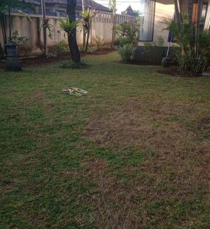 WhatsApp Image 2026 09 25 at 08.46.38 (2)