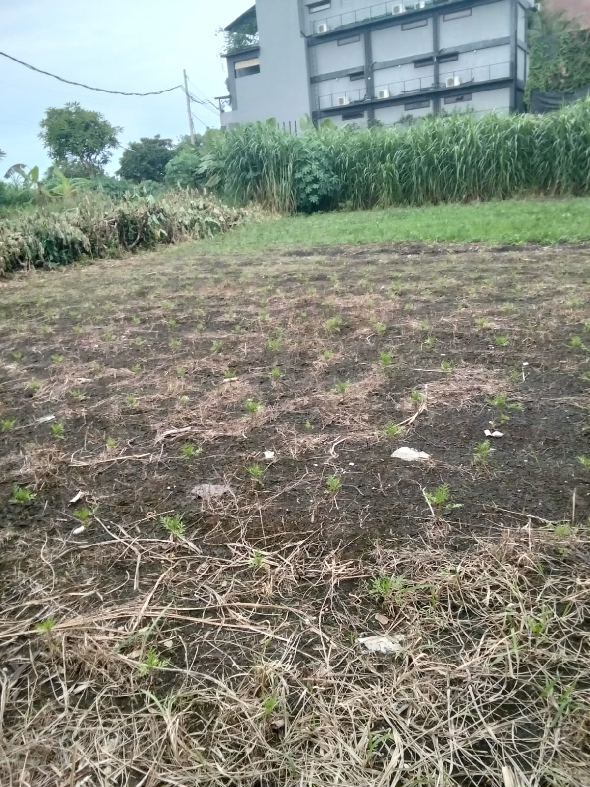 WhatsApp Image 2026 10 20 at 15.33.17 (1)